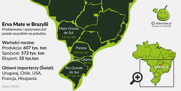 mapa, gdzie w Brazylii produkuje się mate