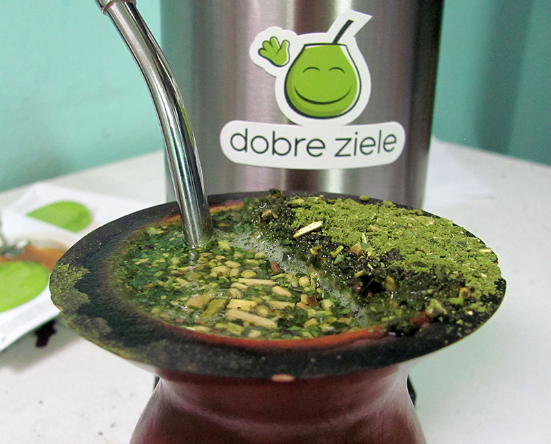yerba chimarrao zaparzone w brazylijskim naczyniu cuia yerba chimarrao zaparzone w brazylijskim naczyniu cuia