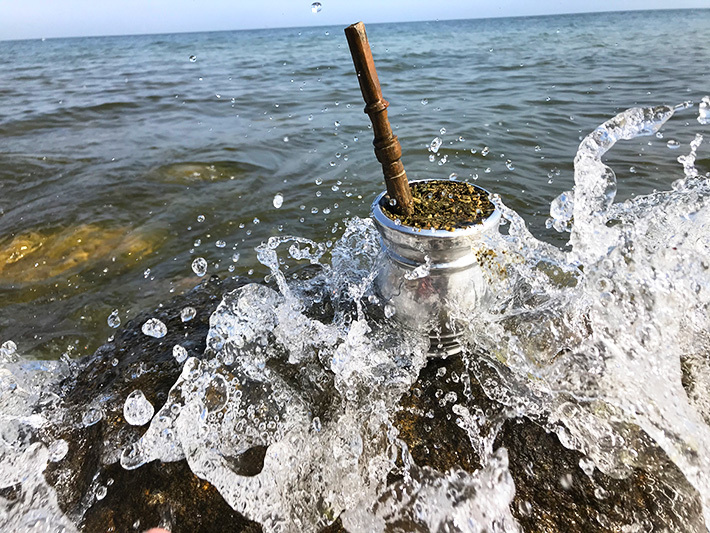 Czy Yerba Mate wypłukuje magnez oraz inne minerały?